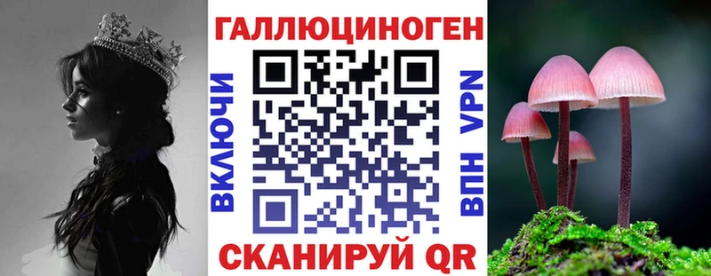 как найти Ясный Псилоцибиновые грибы мицелий